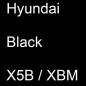 Preview: Hyundai, Black, X5B / XBM.